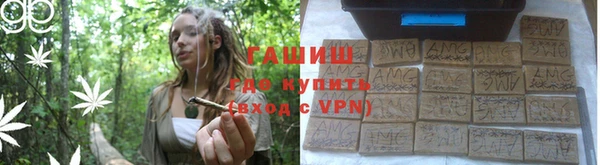 крисы Каменка