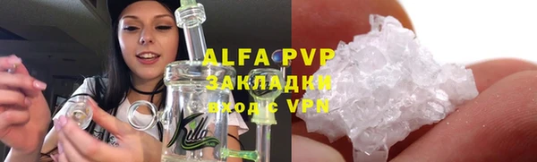 крисы Каменка
