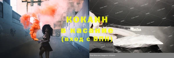 крисы Каменка