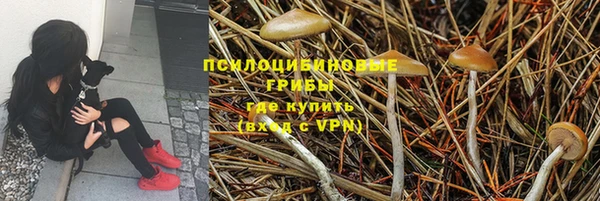 не бодяженный Каменск-Шахтинский