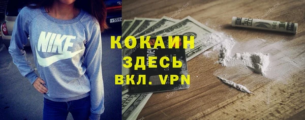 не бодяженный Каменск-Шахтинский