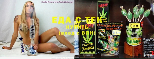 крисы Каменка