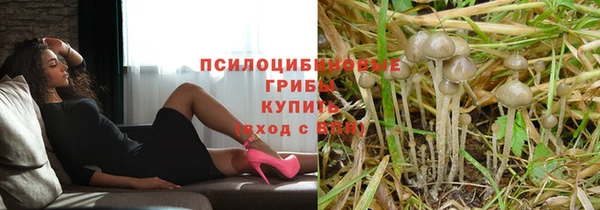 кокаин Каменногорск