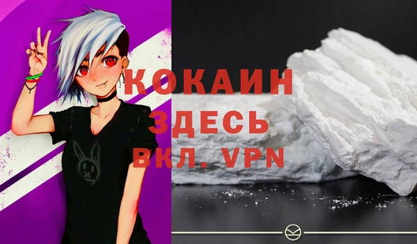 крисы Каменка