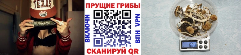 Галлюциногенные грибы MAGIC MUSHROOMS  Купить где  Павловский Посад 